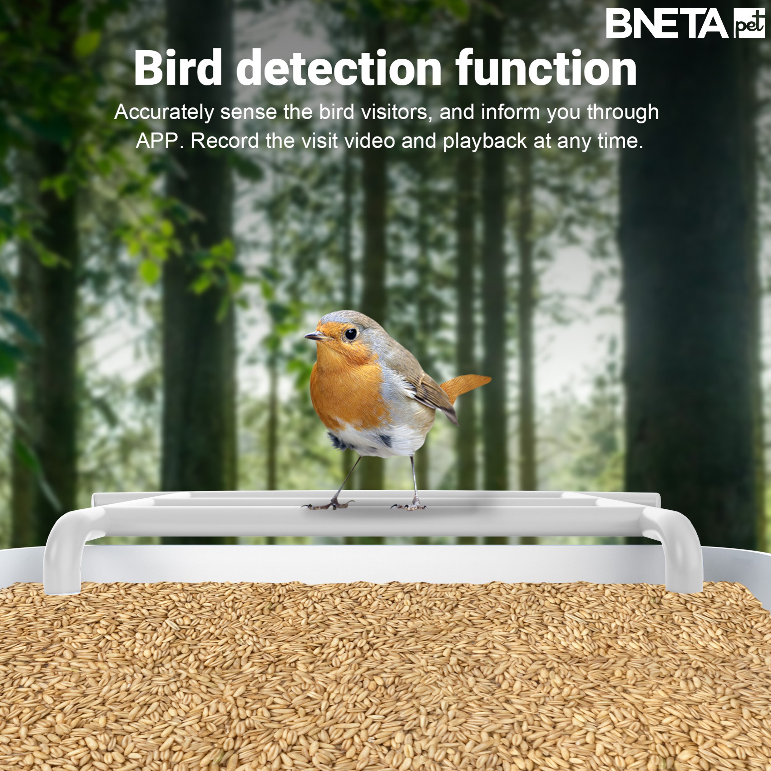 BNETA Pet Birdfeeder BF002