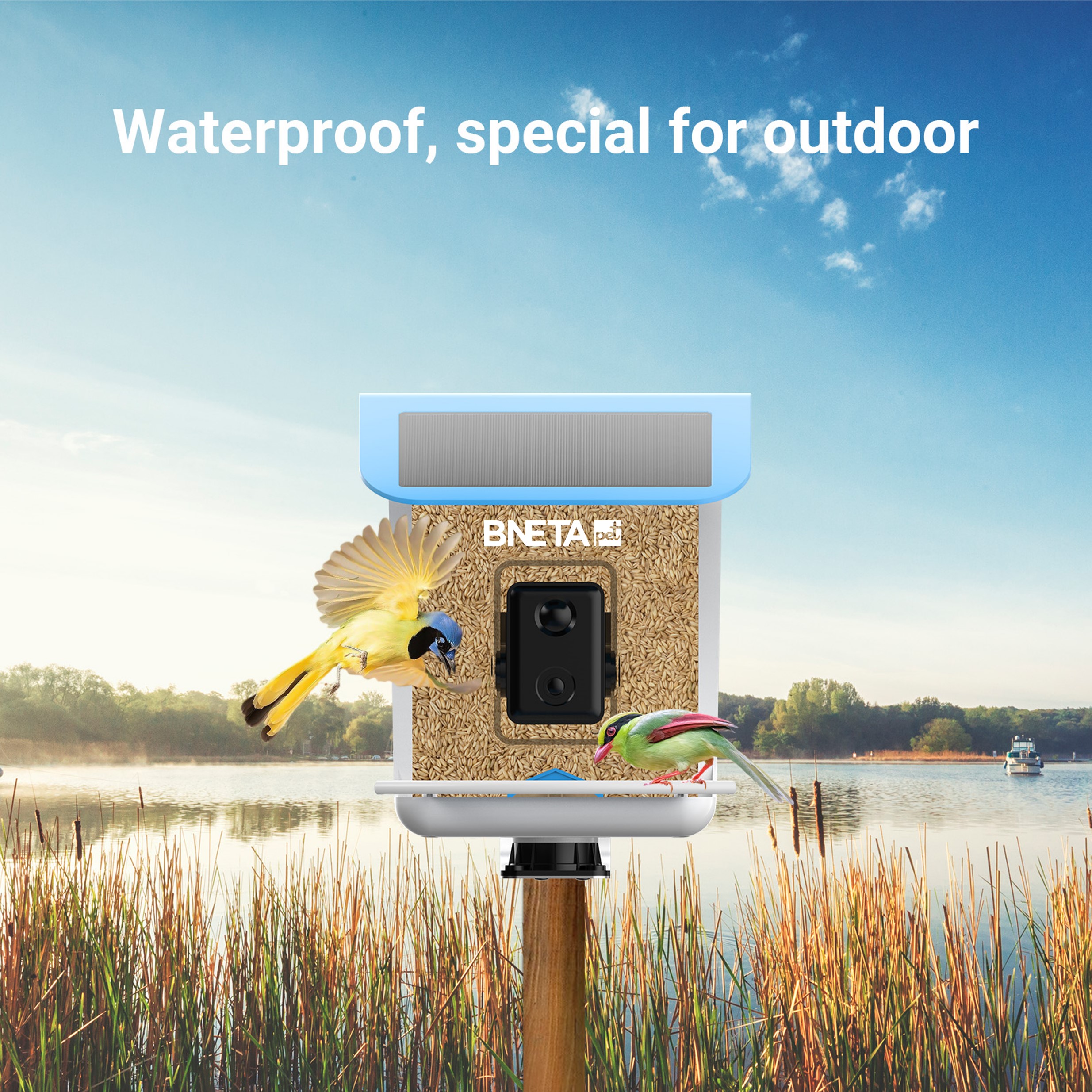 BNETA Pet Birdfeeder BF002